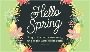 a41d14e9a139bb16422852512f3fa623