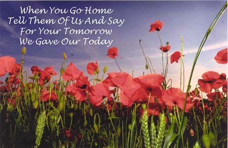 683a5e58021e1f073c171213b502bb74